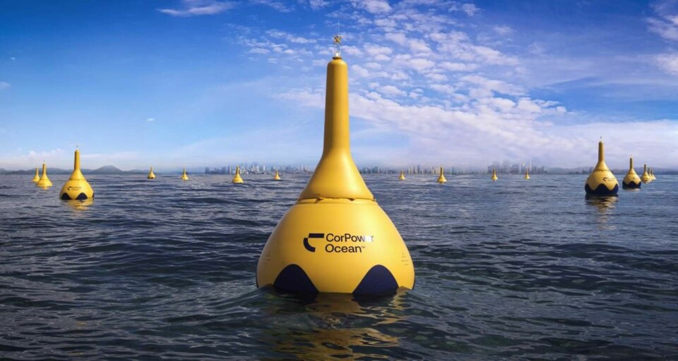 Så här är det tänkt att vågkraftsparker med Corpower Oceans teknik ska se ut i framtiden. Foto: Corpower Ocean