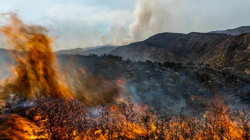 En skogsbrand i Spanien i augusti 2022. Foto: Alberto Saiz/AP/TT