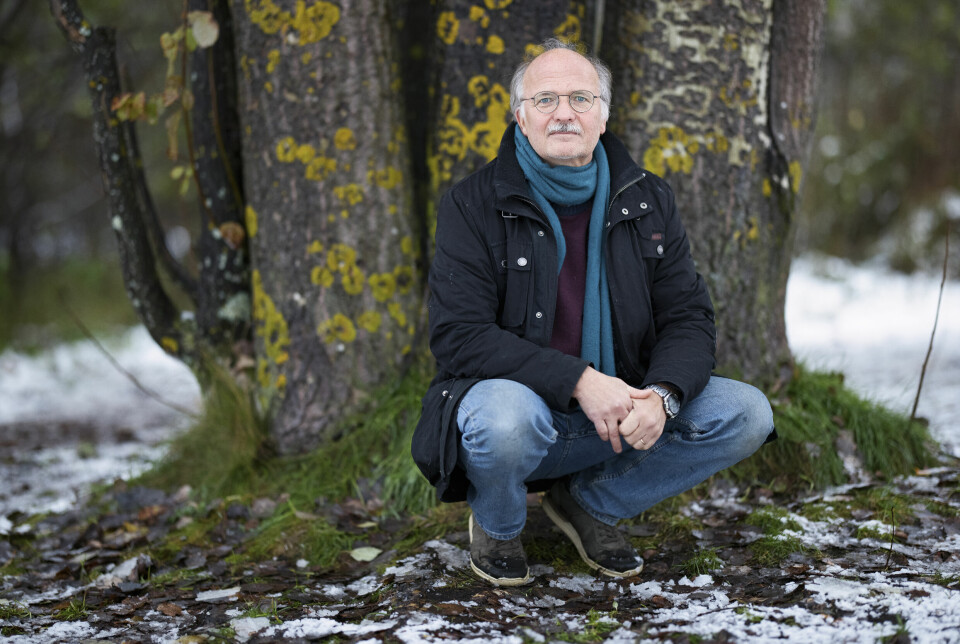 Stefan Jansson, professor i växtfysiologi vid Umeå universitet. Foto: FREDRIK LARSSON