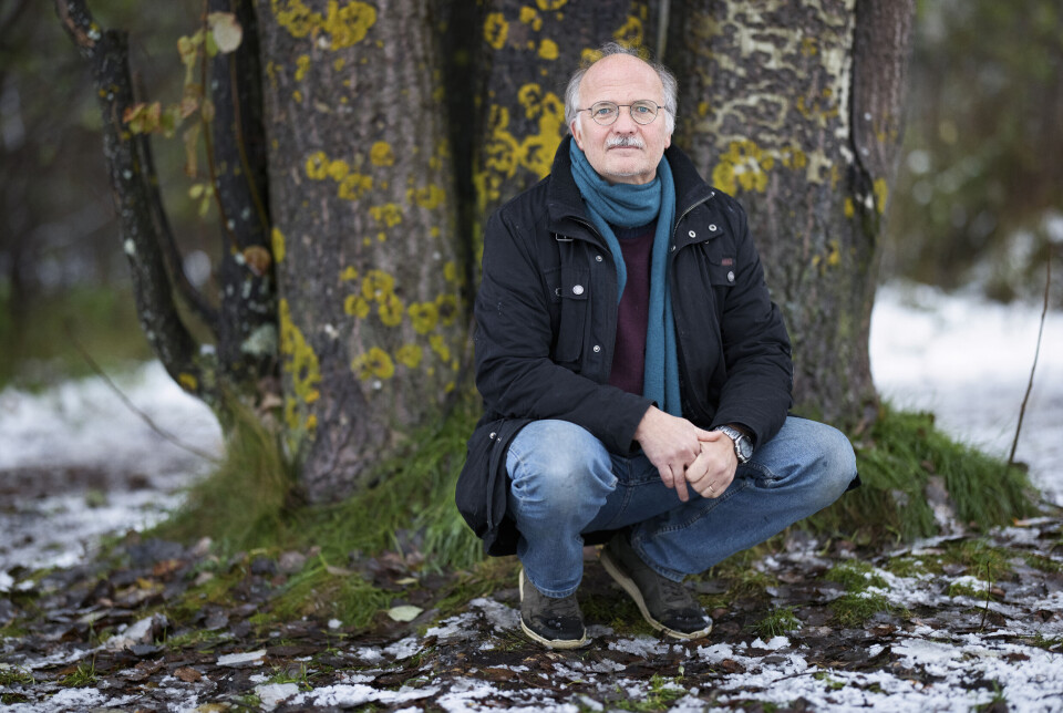 Stefan Jansson, professor i växtfysiologi vid Umeå universitet. Foto: FREDRIK LARSSON Stefan Jansson, professor i växtfysiologi vid Umeå universitet. Foto: FREDRIK LARSSON