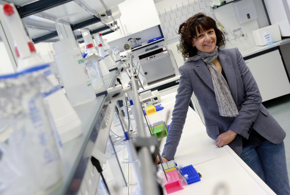 År 2011 publicerade Emmanuelle Charpentier sin upptäckt av den tidigare okända molekylen som kallas tracrRNA. I samband med det inledde hon samarbetet med biokemisten Jennifer Doudna. De tilldelades Nobelpriset i kemi 2020 för den så kallade gensaxen, Crispr, som revolutionerade möjligheten att klippa och klistra i arvsmassan. Foto: PETER STEFFEN/TT År 2011 publicerade Emmanuelle Charpentier sin upptäckt av den tidigare okända molekylen som kallas tracrRNA. I samband med det inledde hon samarbetet med biokemisten Jennifer Doudna. De tilldelades Nobelpriset i kemi 2020 för den så kallade gensaxen, Crispr, som revolutionerade möjligheten att klippa och klistra i arvsmassan. Foto: PETER STEFFEN/TT