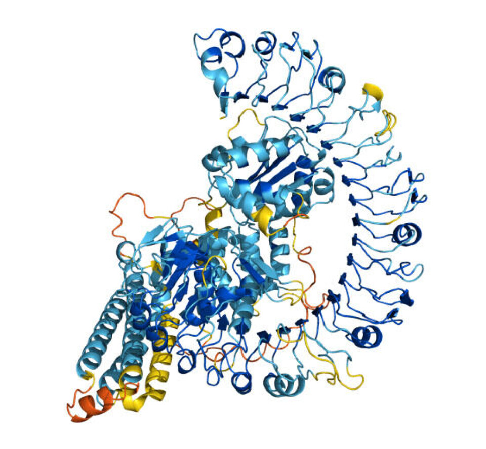 Ett protein som Alphafold förutspår gör växter mer motståndskraftiga. Foto: Deepmind Ett protein som Alphafold förutspår gör växter mer motståndskraftiga. Foto: Deepmind