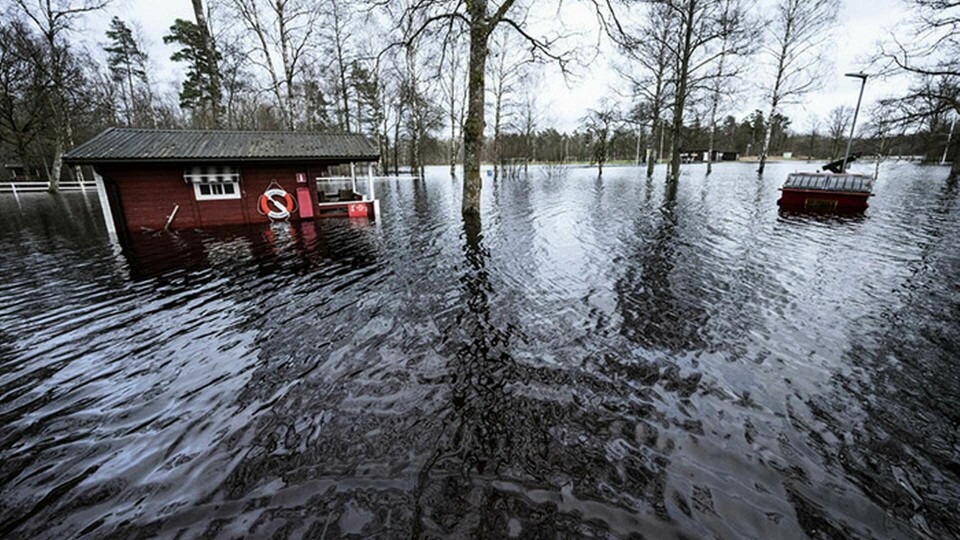 De som drabbas av översvämningar, som här i Knäred i södra Halland tidigare i veckan, kan komma att behöva teckna särskilda försäkringar för översvämningar. Foto: Johan Nilsson/TT