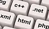 Programmering på schemat från fem år