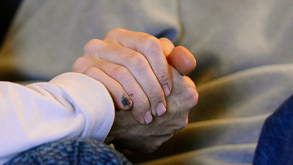 Ett enkelt blodprov kan upptäcka tidig utveckling av Alzheimers sjukdom. Foto: TT Ett enkelt blodprov kan upptäcka tidig utveckling av Alzheimers sjukdom. Foto: TT
