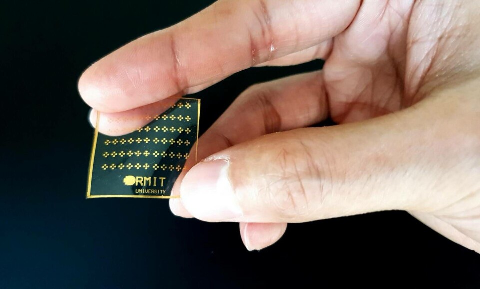 Forskare har utvecklat en artificiell elektronisk 'hud' som reagerar på smärta. Foto: RMIT University Forskare har utvecklat en artificiell elektronisk 'hud' som reagerar på smärta. Foto: RMIT University