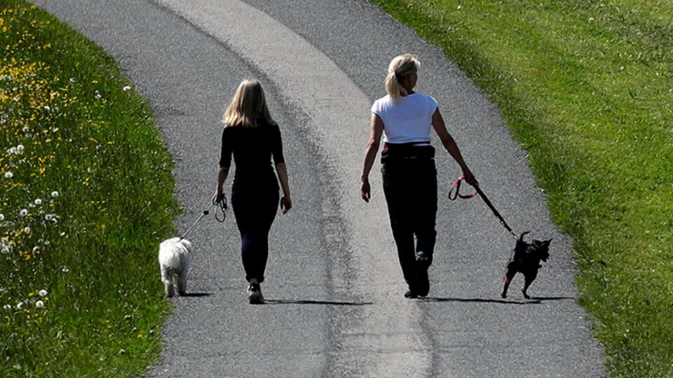 Foto: AP Photo/Matthias Schrader/TT Foto: AP Photo/Matthias Schrader/TT