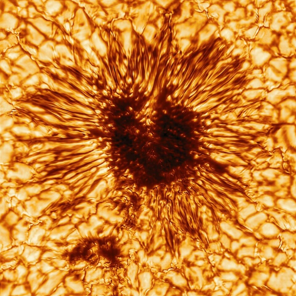 En fläck på solen som ger associationer till Saurons öga. Foto: NSO/AURA/NSF