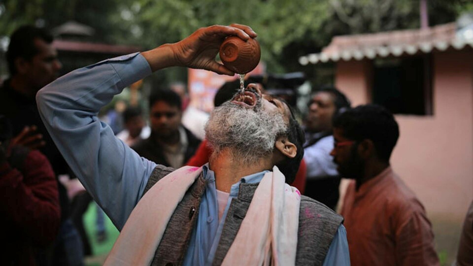 En man indisk dricker gaumutra, eller urin från kor, under ett evenemang i New Delhi i mars. Foto: Altaf Qadri/TT/AP