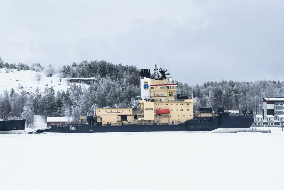 Sjöfartsverkets isbrytare Oden vid kaj i hamnen i Luleå. Foto: Pontus Lundahl/TT