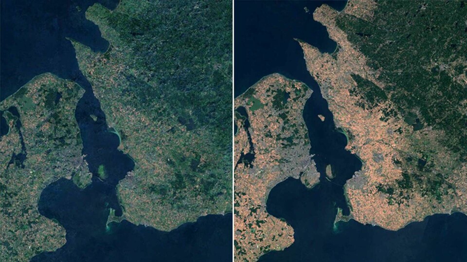 Bild över samma period under 2017 till vänster och 2018 till höger. Foto: Rymdstyrelsen/Google/ESA/TT