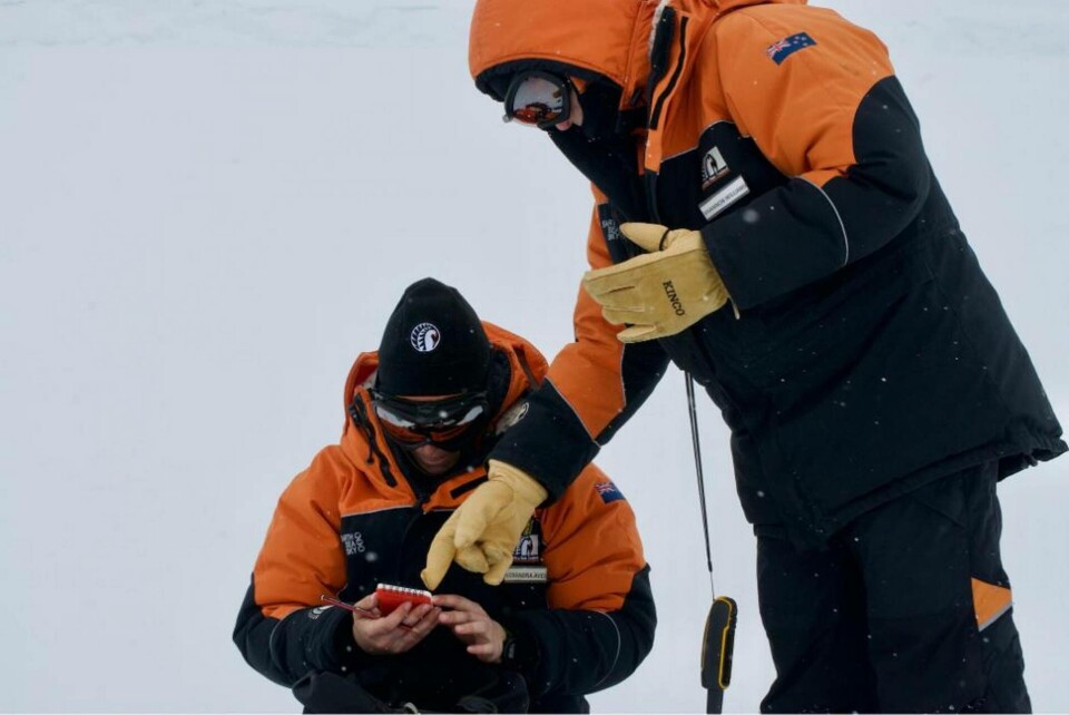 Forskarna samlar in prover – i snitt innehöll en liter smält snö 29 partiklar. Foto: Bella Zeldis Forskarna samlar in prover – i snitt innehöll en liter smält snö 29 partiklar. Foto: Bella Zeldis