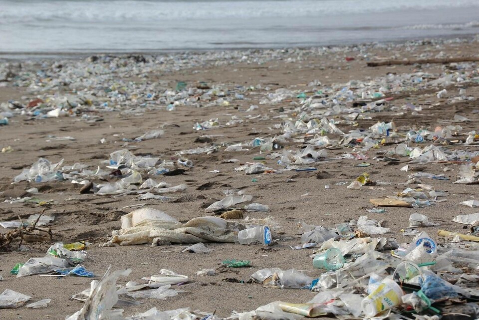 Engångsartiklar i plast står för ungefär hälften av allt marint skräp på europeiska stränder i dag. Foto: hhach/Pixabay Engångsartiklar i plast står för ungefär hälften av allt marint skräp på europeiska stränder i dag. Foto: hhach/Pixabay