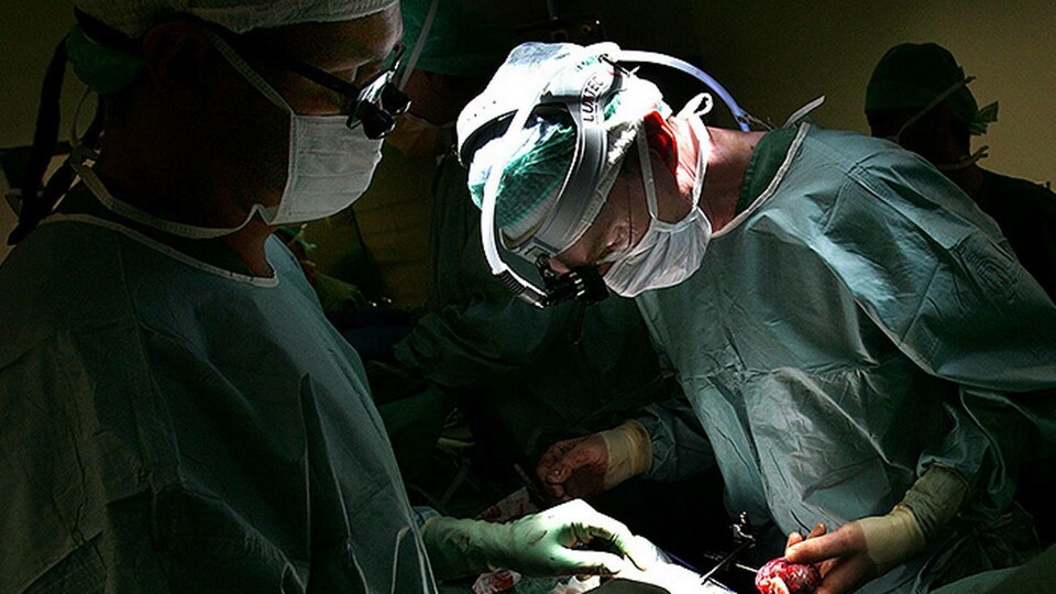 Transplantation Transplantation