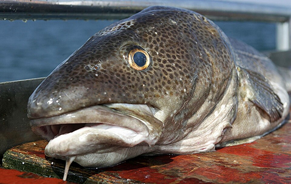 Foto: Alamy Foto: Alamy