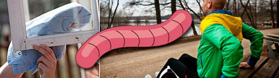 Nanopartiklar förbättrar egenskaperna i allt från glasrutor till träningskläder. Men när partiklarna hamnar i naturen och slussas in i det biologiska kretsloppet ställer det till problem för kompostmaskarna. Foto: Fredrik Sandberg samt Johan Engman/Scanpix. Illustration: Jonas Askergren. Nanopartiklar förbättrar egenskaperna i allt från glasrutor till träningskläder. Men när partiklarna hamnar i naturen och slussas in i det biologiska kretsloppet ställer det till problem för kompostmaskarna. Foto: Fredrik Sandberg samt Johan Engman/Scanpix. Illustration: Jonas Askergren.
