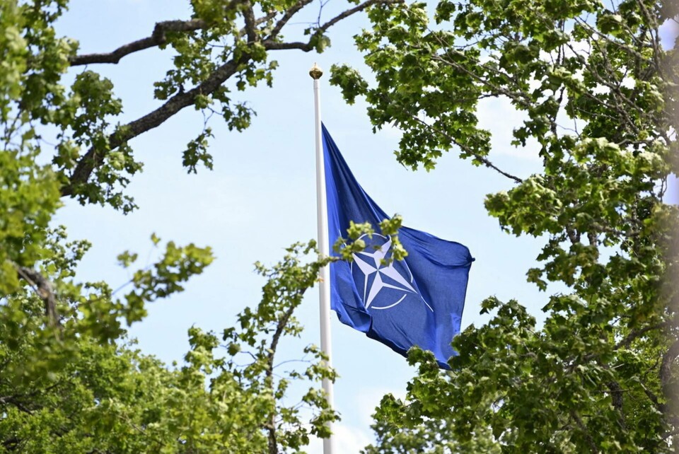Natos flagga. Arkivbild. Foto: Henrik Montgomery/TT Natos flagga. Arkivbild. Foto: Henrik Montgomery/TT