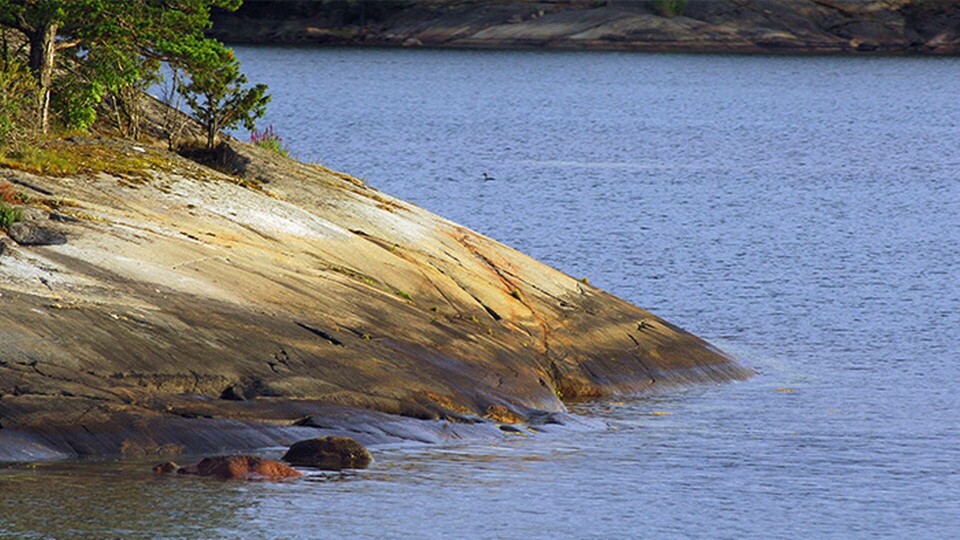 Arkivbild på en klippa. Foto: Hasse Holmberg / TT Arkivbild på en klippa. Foto: Hasse Holmberg / TT