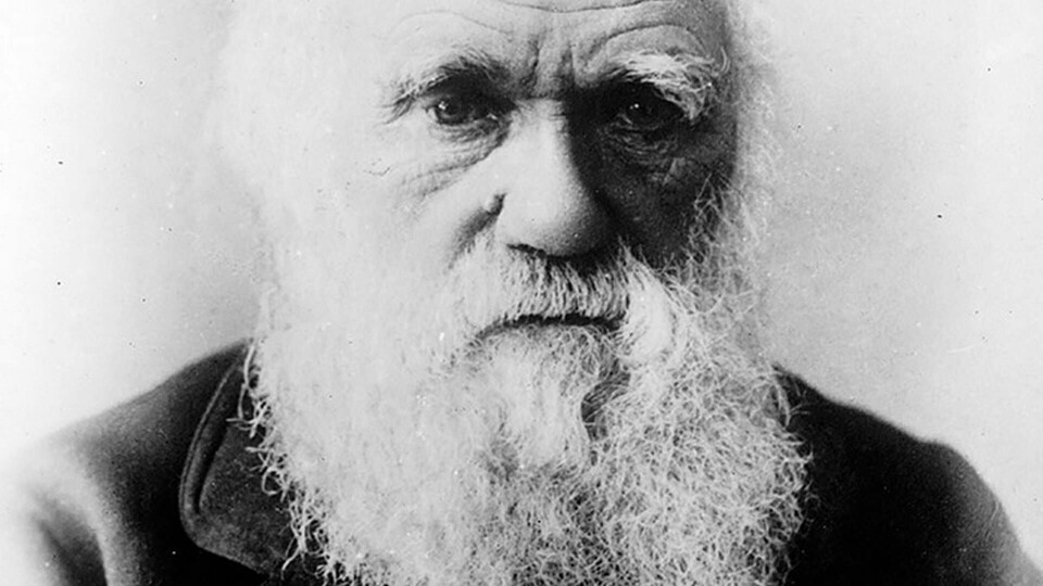 Charles Darwin Foto: GL Archive / Alamy