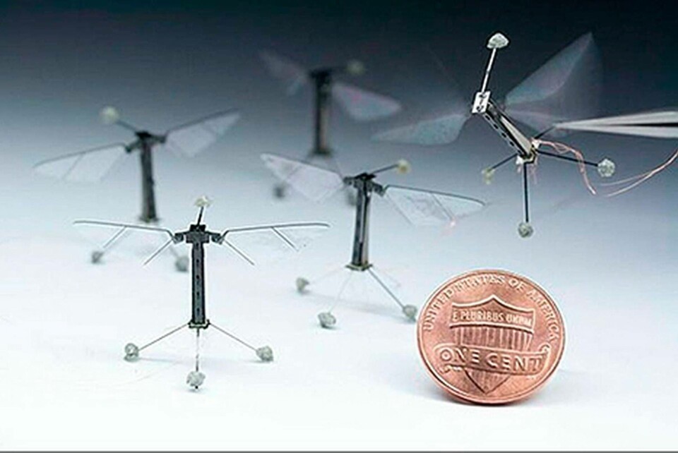 Miniroboten flyger med hjälp av två tunna vingar av kolfiberförstärkt polyester som slår 120 gånger i sekunden. Foto: Kevin Ma and Pakpong Chirarattananon Miniroboten flyger med hjälp av två tunna vingar av kolfiberförstärkt polyester som slår 120 gånger i sekunden. Foto: Kevin Ma and Pakpong Chirarattananon