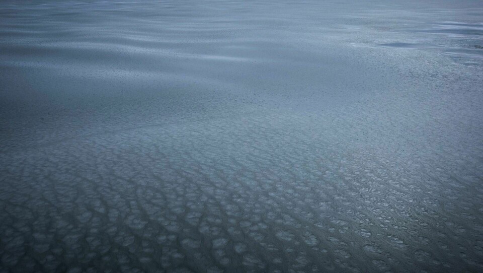 Norra ishavet värms upp snabbare än vad man tidigare trott. Arkivbild. Foto: John Guillote/AP/TT