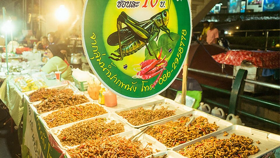 Syrsor som snacks i Thailand. Foto: Alamy Syrsor som snacks i Thailand. Foto: Alamy