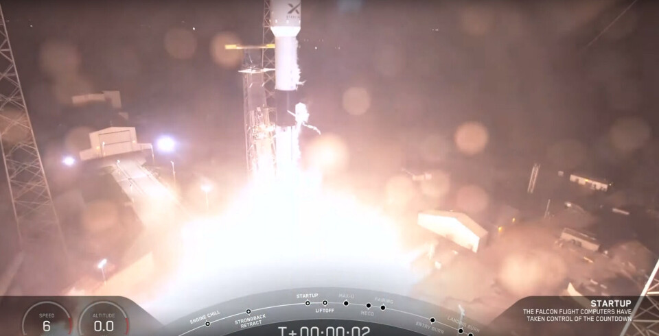 Foto: Space X Foto: Space X