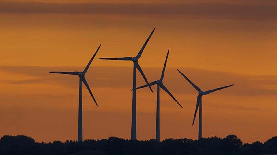 'En enorm vindkraftpotential i hela Europa som måste utnyttjas om vi ska förhindra en klimatkatastrof', säger Benjamin Sovacool. Foto: TT/Rights Managed
