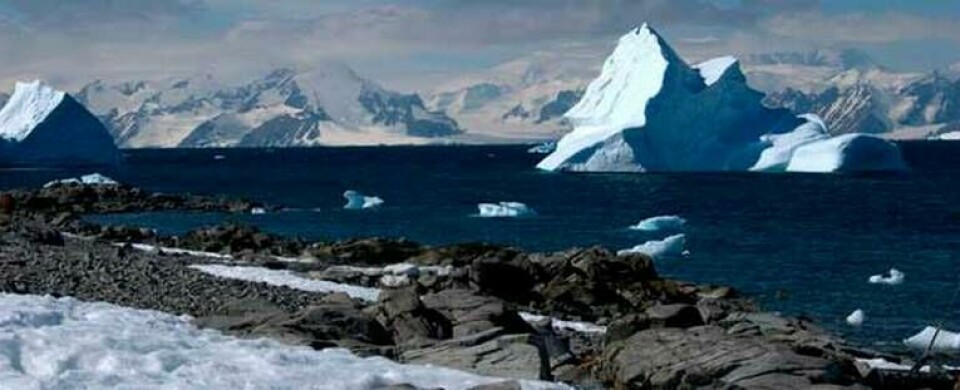Städer som New York, Hongkong, Tokyo, Shanghai, Calcutta och Hamburg riskerar att försvinna om istäcket i Antarktis smälter bort hävdar Potsdamforskare. Foto: Maria Martin/PIK