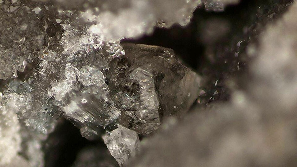 Mineralen elpasolit, uppkallad efter El Paso i Colorado. Foto: Michael Scott / RRUFF