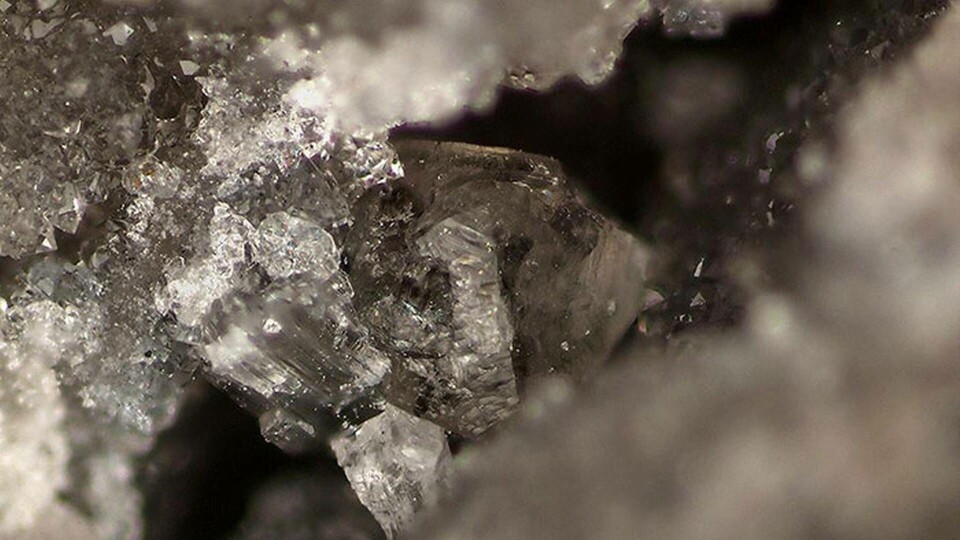 Mineralen elpasolit, uppkallad efter El Paso i Colorado. Foto: Michael Scott / RRUFF Mineralen elpasolit, uppkallad efter El Paso i Colorado. Foto: Michael Scott / RRUFF