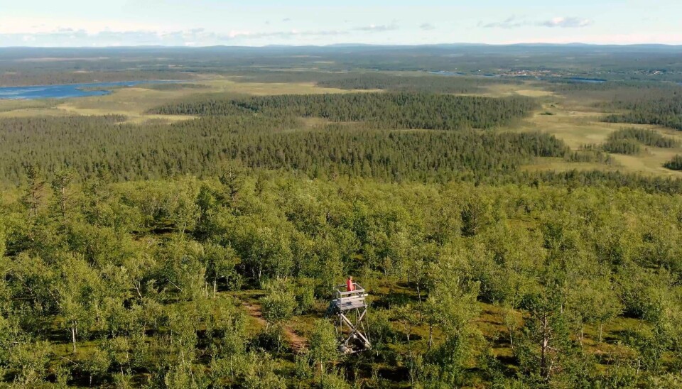 Struves meridianbåge består av 258 huvudtrianglar med 265 huvudmätpunkter, varav 34 är världsarvsklassade. Den sträcker sig från Norge vidare genom Sverige, Finland, Ryssland, Estland, Lettland, Litauen, Belarus, Moldavien och Ukraina. Foto: CHRISTER KUTTAINEN/LEADER TORNEDALEN2020 Struves meridianbåge består av 258 huvudtrianglar med 265 huvudmätpunkter, varav 34 är världsarvsklassade. Den sträcker sig från Norge vidare genom Sverige, Finland, Ryssland, Estland, Lettland, Litauen, Belarus, Moldavien och Ukraina. Foto: CHRISTER KUTTAINEN/LEADER TORNEDALEN2020