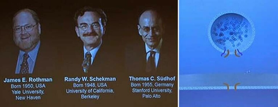 Årets Nobelpristagare i medicin, amerikanerna James E Rothman och Randy W Schekman samt tysken Thomas C Südhof.