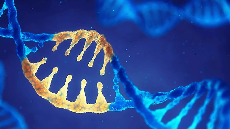 Foto: Alamy Foto: Alamy