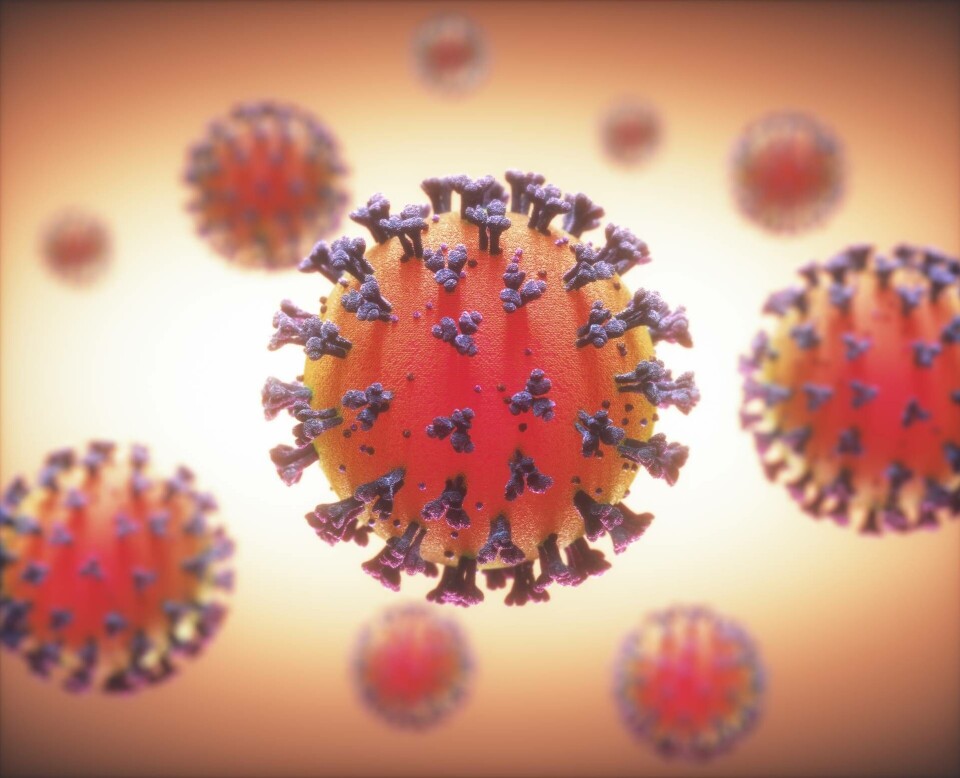 En illustration av ett coronavirus. Foto: Science Photo Library En illustration av ett coronavirus. Foto: Science Photo Library