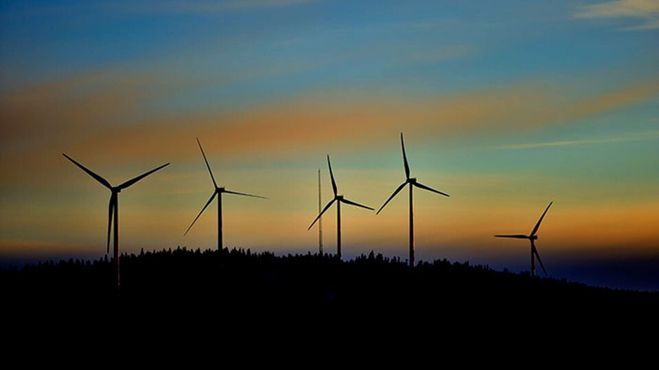 Vindkraftverk i närheten av Malå. Foto: TT Vindkraftverk i närheten av Malå. Foto: TT