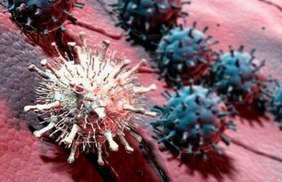 Om viruset bakom fågelinfluensa muterar så att det smittar mellan människor kan det orsaka en pandemi. Foto: MEDICAL RF.COM/SPL