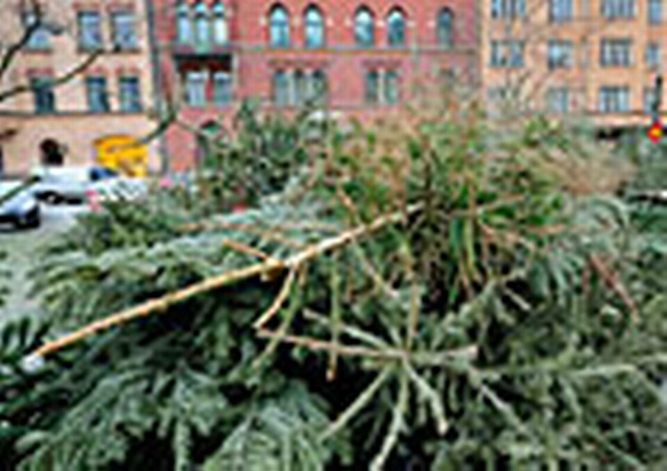 Foto: Scanpix Foto: Scanpix
