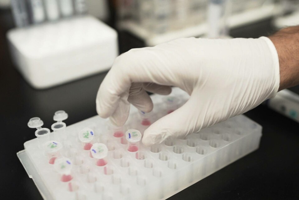 Forskare vid Lunds universitet har tagit fram ett test som på 10 minuter visar vem som riskerar att drabbas av Alzheimers sjukdom. Arkivbild. Foto: Huy Mach/P/TT Forskare vid Lunds universitet har tagit fram ett test som på 10 minuter visar vem som riskerar att drabbas av Alzheimers sjukdom. Arkivbild. Foto: Huy Mach/P/TT