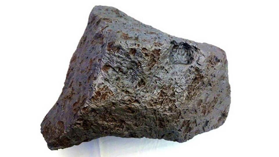 Eventuellt kan den se ut så här, den lappländska meteoriten: Som järnmeteoriten från den världskända samlingen Muonionalustameteoriterna. Foto: Catawiki / TT Eventuellt kan den se ut så här, den lappländska meteoriten: Som järnmeteoriten från den världskända samlingen Muonionalustameteoriterna. Foto: Catawiki / TT