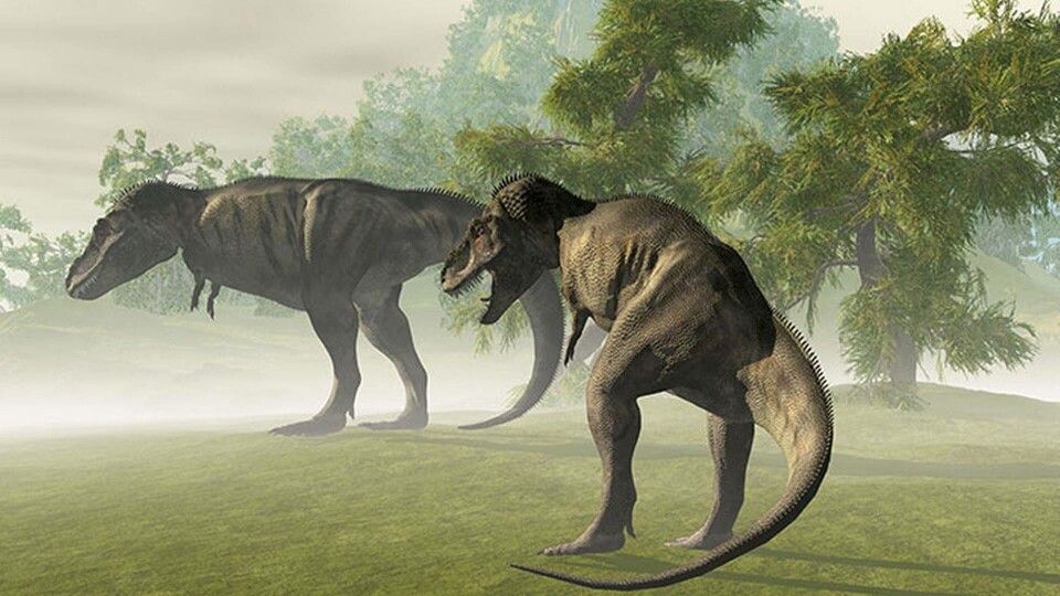 T-rex korta armar fyllde en funktion och var inte bara evolutionsrester. Foto: IBL T-rex korta armar fyllde en funktion och var inte bara evolutionsrester. Foto: IBL