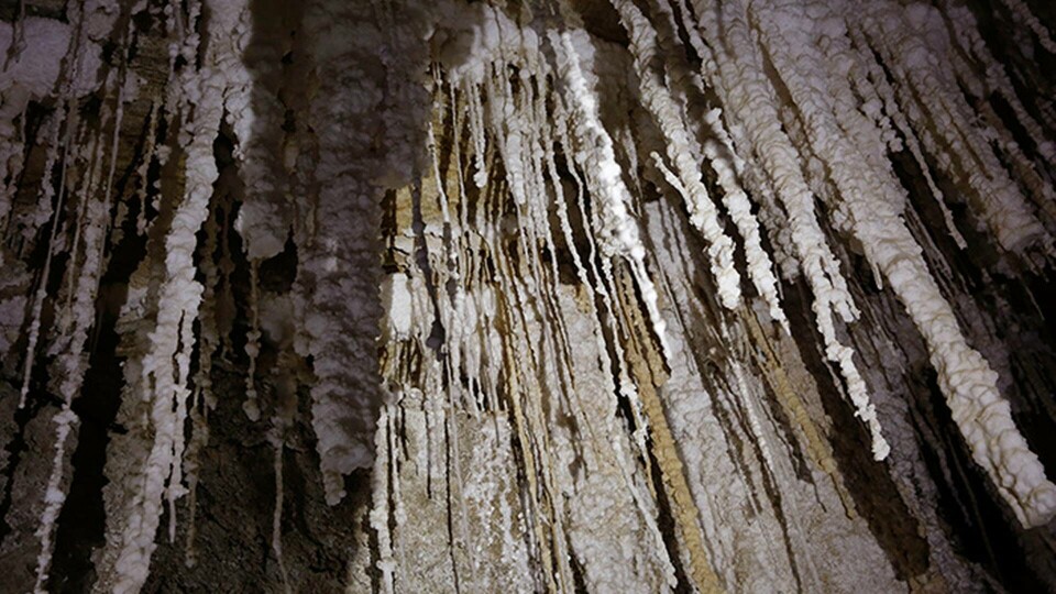 I Utah planeras för storskalig lagring av energi i form av vätgas eller komprimerad luft i en stor saltgrotta. Bilden är dock från en annan saltgrotta. Foto: TT I Utah planeras för storskalig lagring av energi i form av vätgas eller komprimerad luft i en stor saltgrotta. Bilden är dock från en annan saltgrotta. Foto: TT