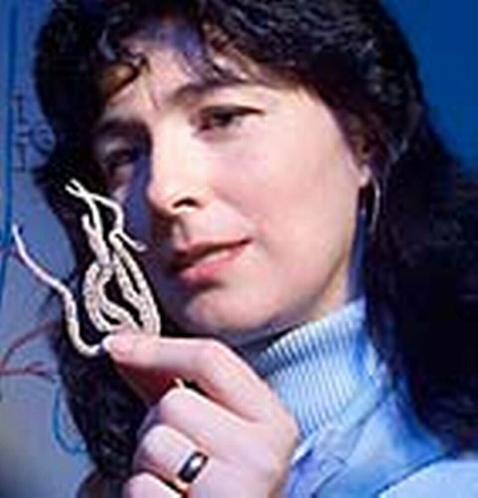 Joanna Aizenberg hittar lösningar i naturen. Joanna Aizenberg hittar lösningar i naturen.
