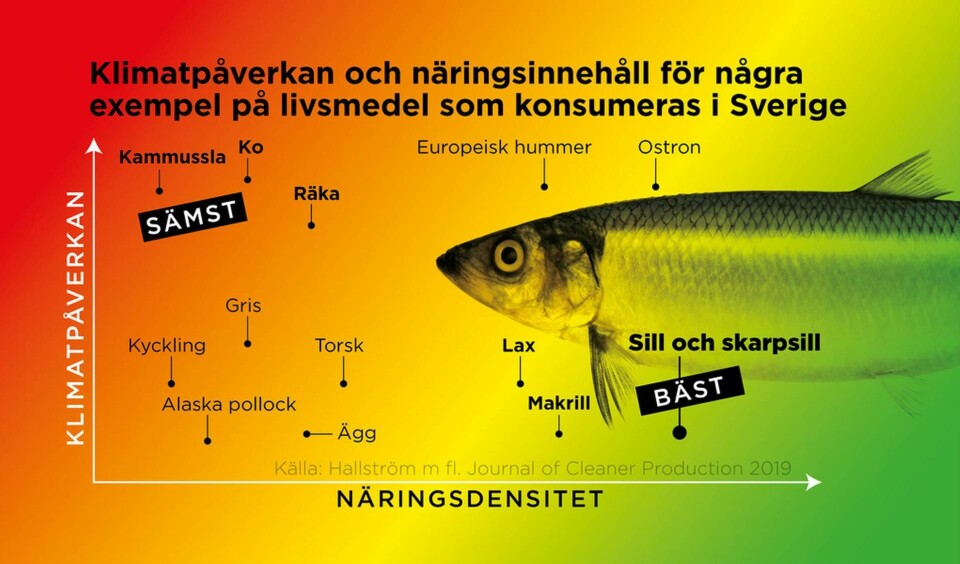Klimatpåverkan och näringsinnehåll för några exempel på livsmedel som konsumeras i Sverige. Foto: Johan Hallnäs Klimatpåverkan och näringsinnehåll för några exempel på livsmedel som konsumeras i Sverige. Foto: Johan Hallnäs