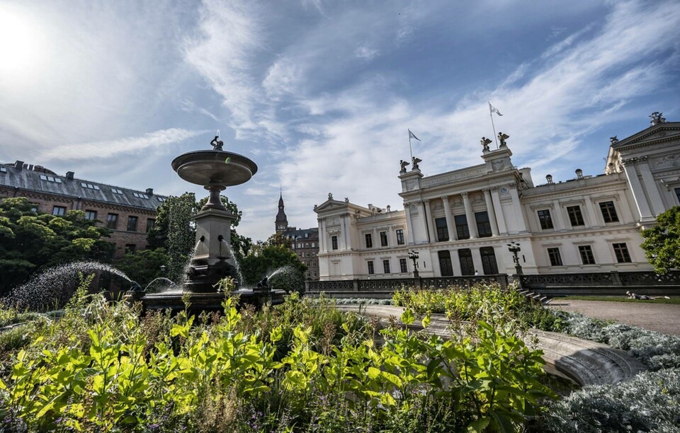En forskare i Lund fälls för att ha plagierat sina studenter. Arkivbild. Foto: Johan Nilsson/TT En forskare i Lund fälls för att ha plagierat sina studenter. Arkivbild. Foto: Johan Nilsson/TT