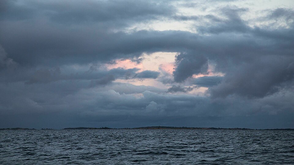 Länderna runt Östersjön dåliga på att skydda havet, enligt WWF. Foto: TT