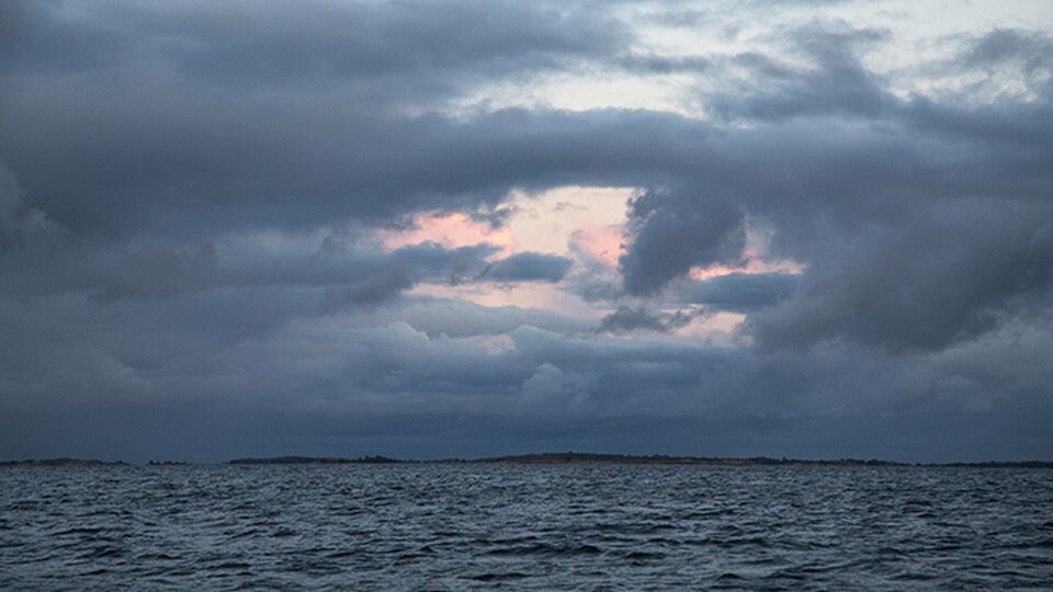 Länderna runt Östersjön dåliga på att skydda havet, enligt WWF. Foto: TT Länderna runt Östersjön dåliga på att skydda havet, enligt WWF. Foto: TT