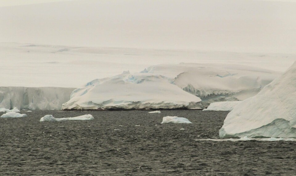 Den nyupptäckta ön ligger i Pine Island Bay, i Amundsenhavet. Istäcket har dolt den från satelliter. Foto: Gui Bortolotto/TT Den nyupptäckta ön ligger i Pine Island Bay, i Amundsenhavet. Istäcket har dolt den från satelliter. Foto: Gui Bortolotto/TT