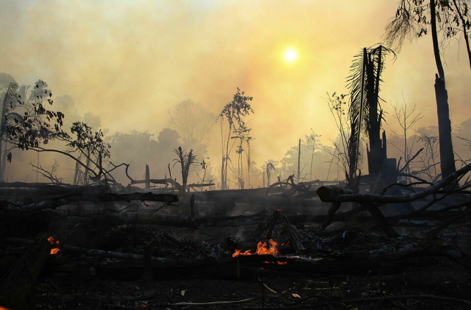 I år har bränderna i Amazonas varit de mest omfattande på minst ett decennium. Bild från Brasilien i augusti. Foto: Edmar Barros
