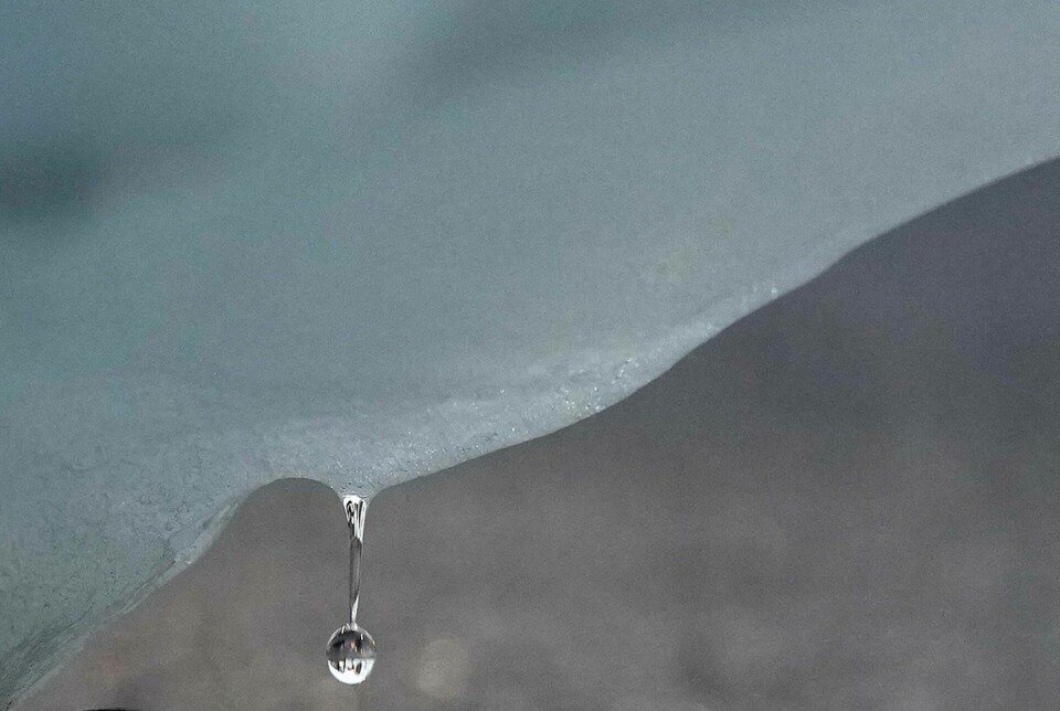 En droppe faller från ett isberg i Arktis. Arkivbild. Foto: Alastair Grant/AP/TT